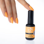 Sopolish Box SS23 - 12 pcs